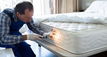 Bed bug control