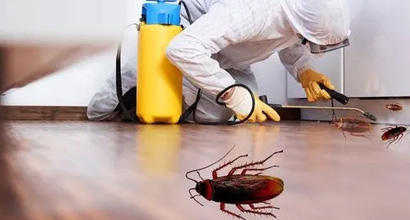Cockroach control